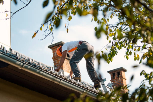 Best Roof Maintenance Services  in North Fond Du Lac, WI