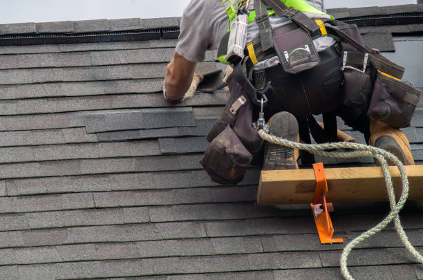 Best Shingle Roofing Installation  in North Fond Du Lac, WI